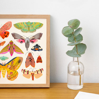 Moth Collection | Art Print