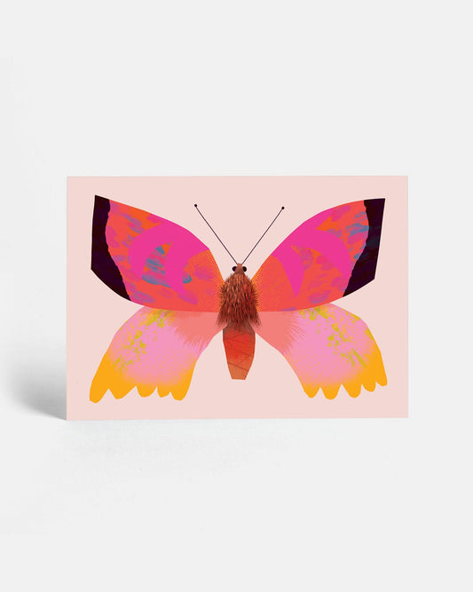 Pink Butterfly | Postcard