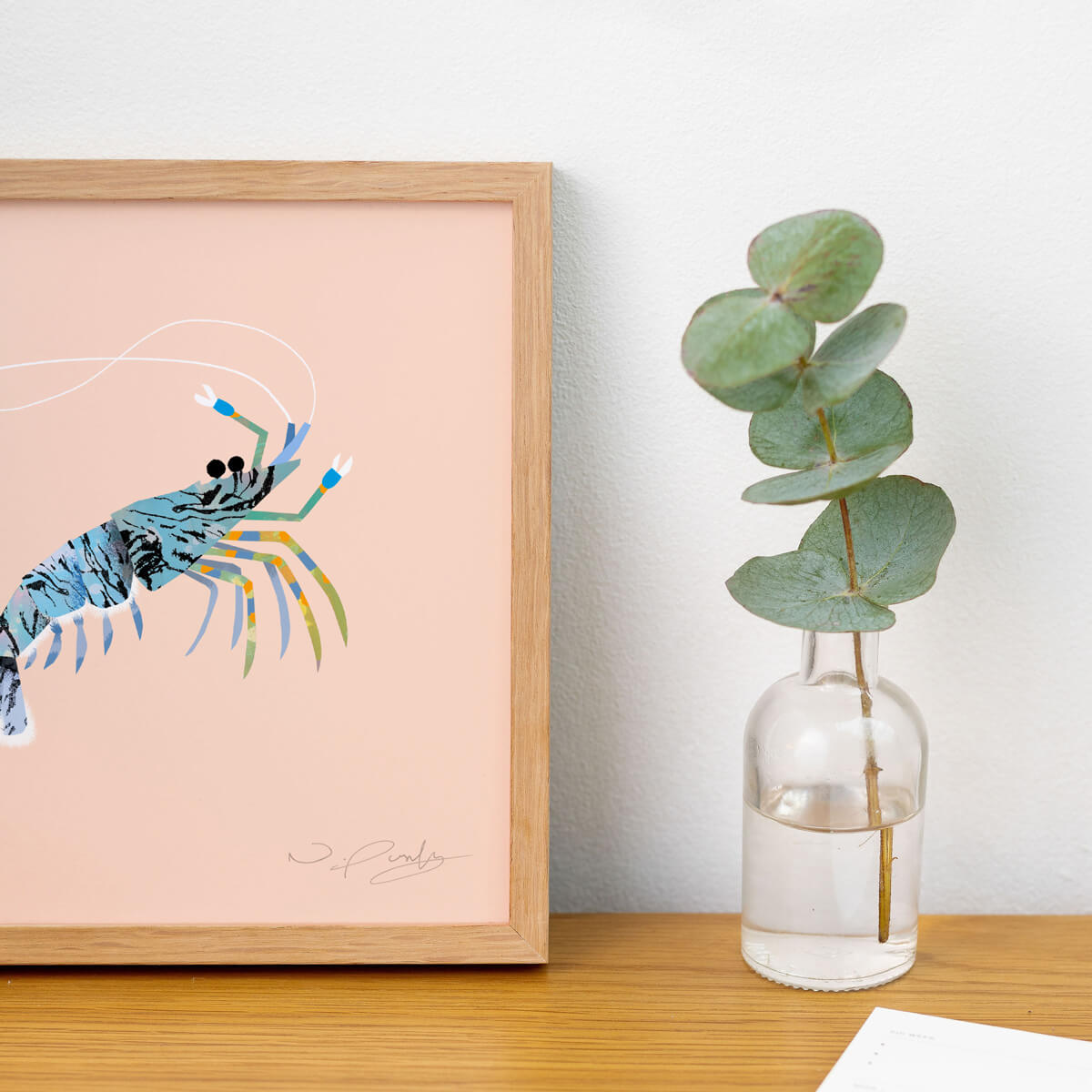 Rock Pool Shrimp | Art Print
