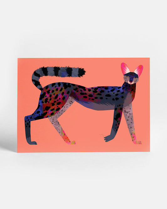 Black Serval | Postcard