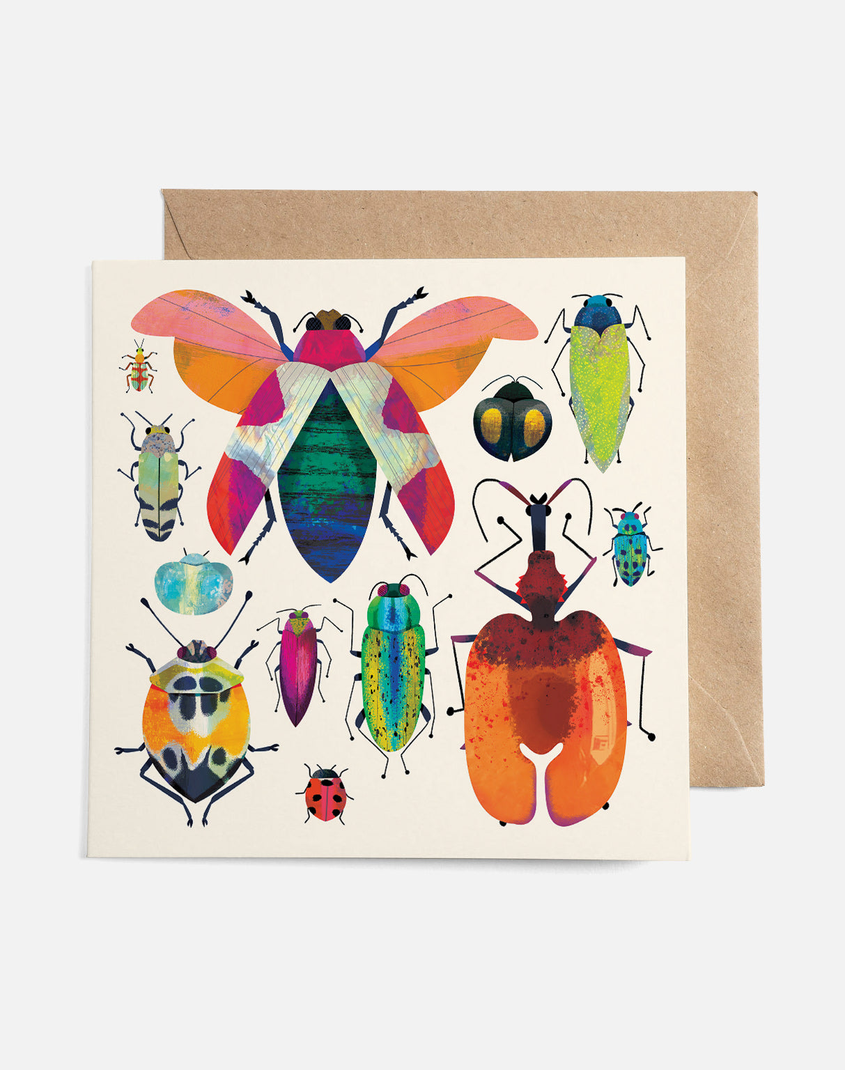 Bug Collection | Card