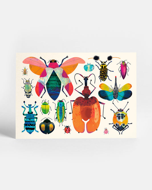 Bug Collection | Postcard