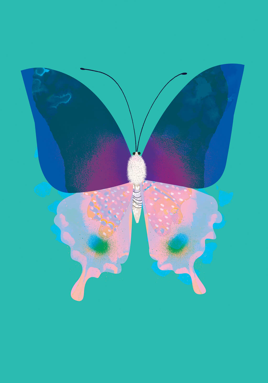 Butterfly | A4 Art Print