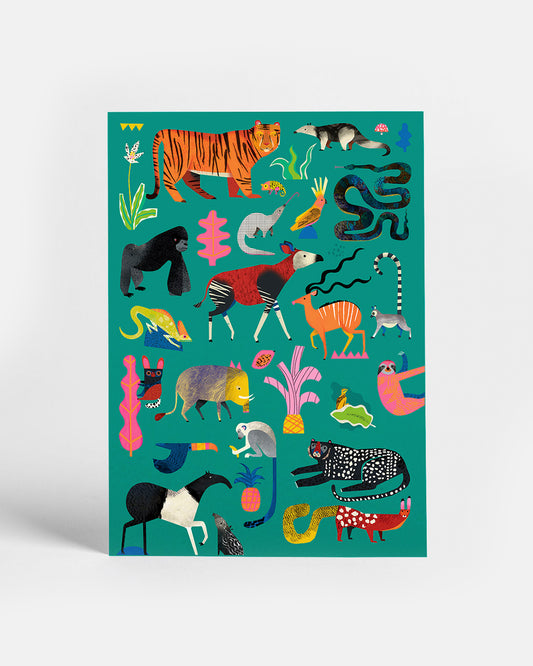 Jungle | Postcard