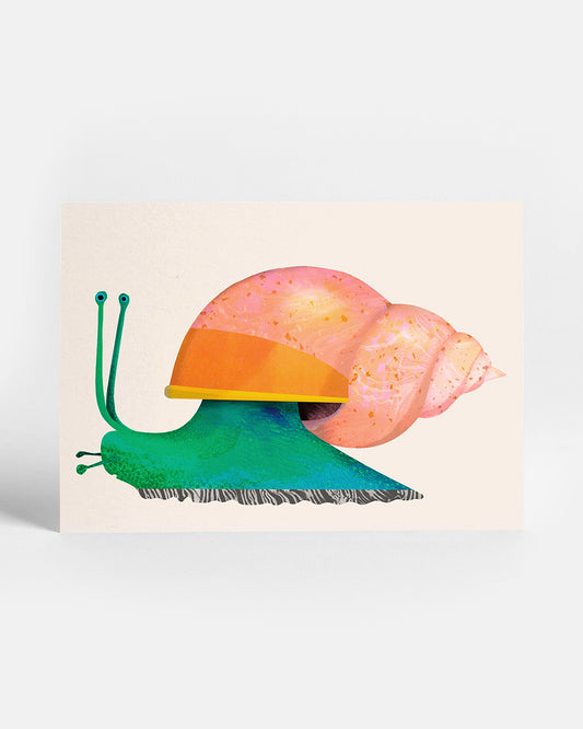 Snail | Postcard
